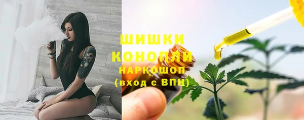 стаф Богородск