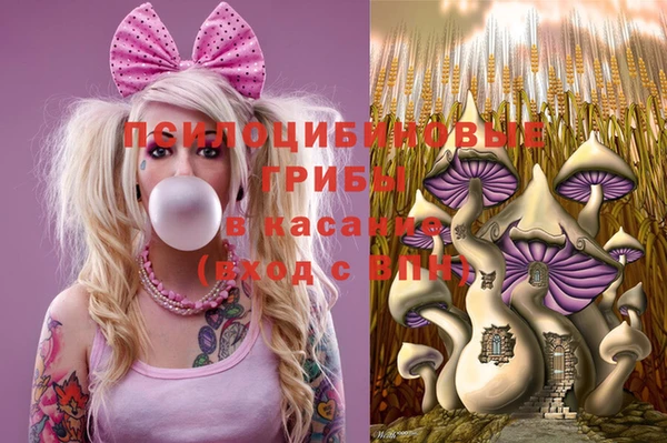 МДМА Богородицк