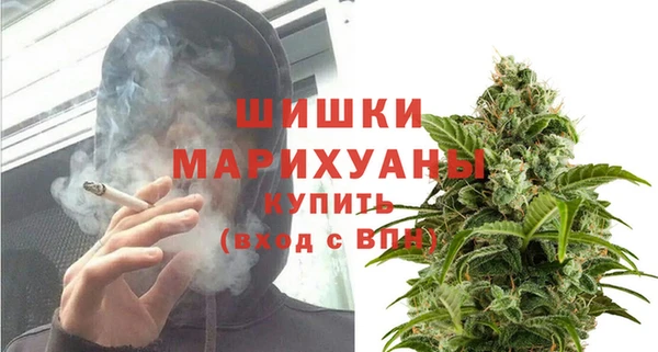 стаф Богородск