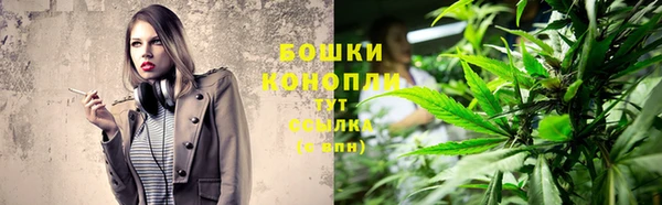 стаф Богородск